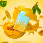 ILIA 哩啞三代 5000口拋棄式電子煙｜一次性 Vape｜台灣現貨 24小時出貨